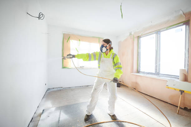 Best Post-Construction Mold Inspection  in Little Canada, MN