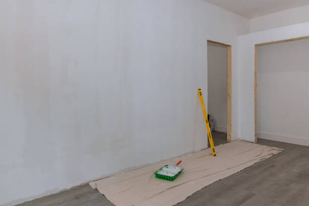 Best Residential Mold Inspection & Testing  in Little Canada, MN