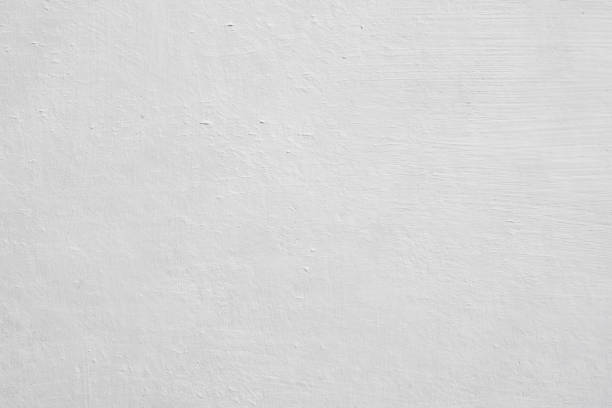 Best Mold Damage Restoration  in Little Canada, MN