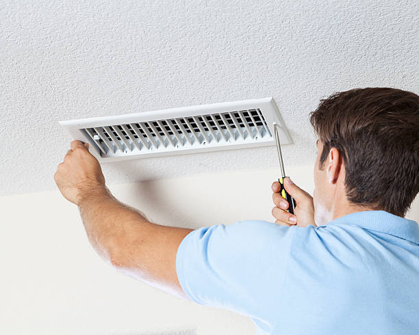 Best Environmental Consulting for Mold Prevention  in Little Canada, MN