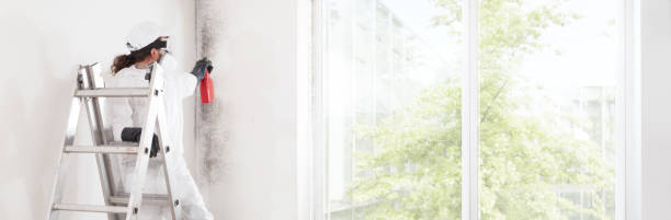 Best Air Quality Testing for Mold Spores  in Little Canada, MN