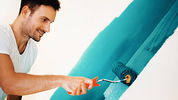 Best Emergency Mold Remediation  in Little Canada, MN